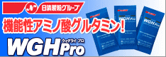 WGH Proサマーキャンペーン2010
